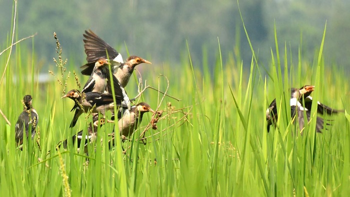 অক্টোবর ১৮,২০১৮