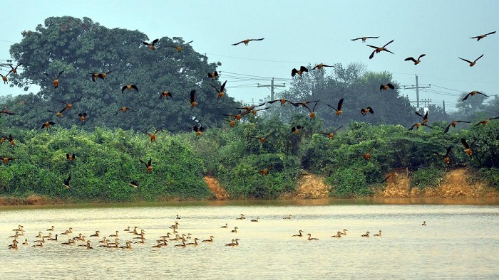 নভেম্বর ২১,২০১৮