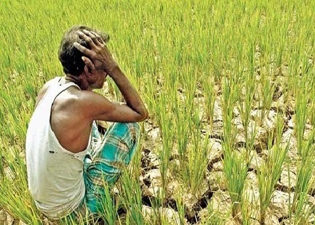 জলবায়ু পরিবর্তনে ৬.৭ শতাংশ জিডিপি হারাবে বাংলাদেশ