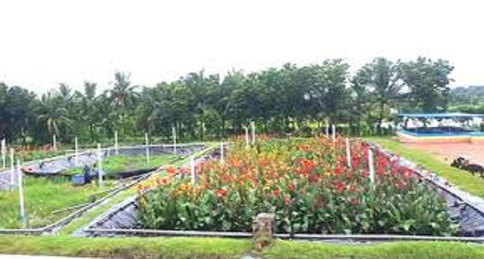 ছবি সংগৃহীত