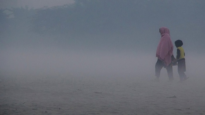 ফাইল ছবি ফাইল ছবি