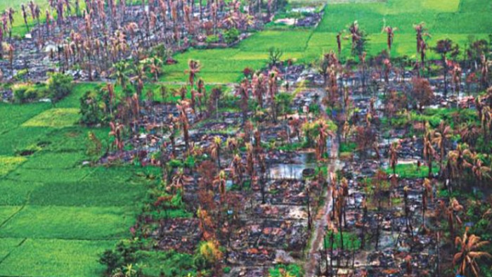 ছবি: সংগৃহীত ছবি: সংগৃহীত