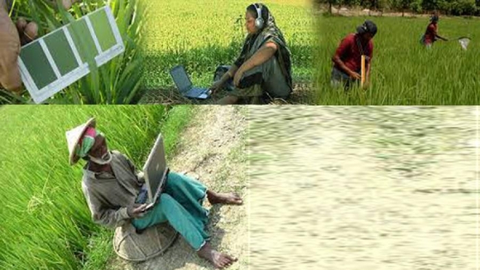ফাইল ছবি ফাইল ছবি