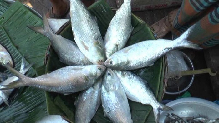 ফাইল ছবি