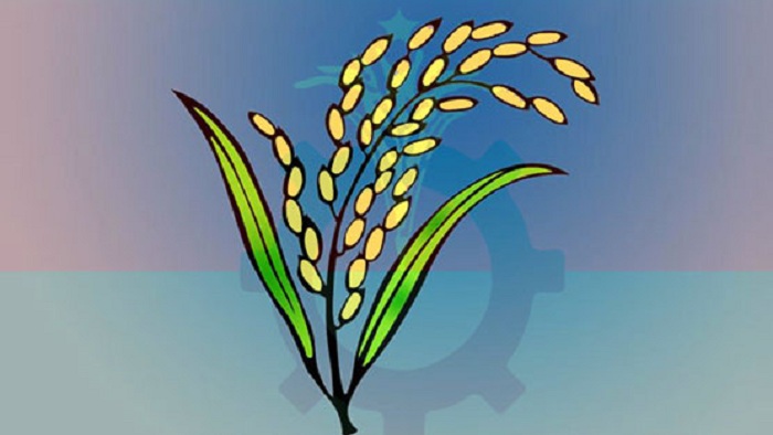 ফাইল ছবি ফাইল ছবি