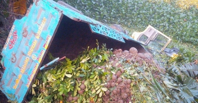 পিকআপ খাদে, নিহত ২ আহত ২