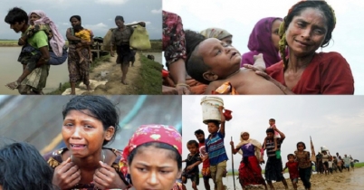 রোহিঙ্গা প্রত্যাবাসনের পদক্ষেপকে স্বাগত জানিয়েছে ভারত