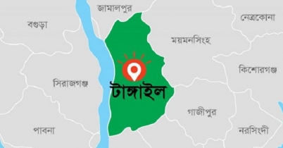 মির্জাপুরে ট্রাক উল্টে একই পরিবারের তিনজন নিহত
