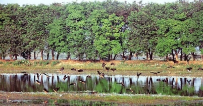 হাকালুকি ও বাইক্কা বিলে পর্যটক বাড়ছে