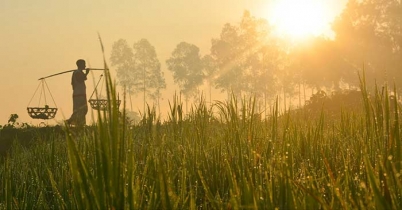 জানুয়ারিতে আসছে তীব্র শীত