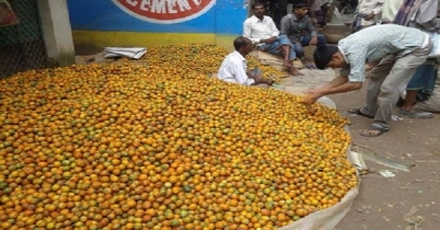 ফলনে খুশি, দামে কী তাই?