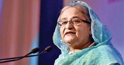 শিল্পকারখানা স্থাপনে পরিবেশের বিষয়টি খেয়াল রাখুন: প্রধানমন্ত্রী