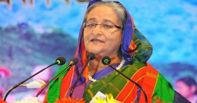 রাজনীতি থেকে অবসর নিয়ে গ্রামে চলে যাব: প্রধানমন্ত্রী