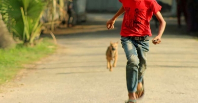 কুকুরের কামড়ে নোয়াখালীতে আহত ৩০
