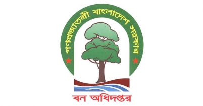 বন অধিদফতরে চাকরি