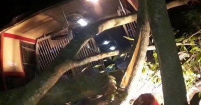 গোপালগঞ্জে সড়ক দুর্ঘটনায় শিশুসহ নিহত ১১