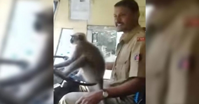 বাস চালক যখন হনুমান! (ভিডিও)