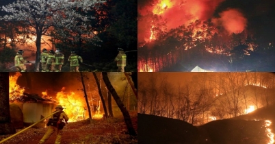 দক্ষিণ কোরিয়ায় ভয়াবহ দাবানল 