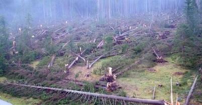 ইতালিতে ঝড়ে ১৭ জনের প্রাণহানি