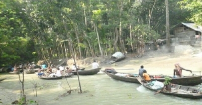 বিষখালী নদিতে ইলিশ শিকারের মহোৎসব