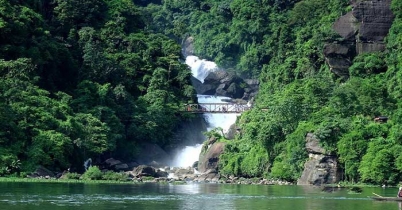 সবুজের সমারোহ ‘পানতুমাই’