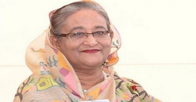 রোববার পদ্মা সেতুর নির্মাণ কাজ পরিদর্শন করবেন প্রধানমন্ত্রী