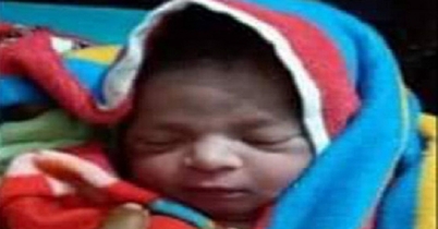 ধানক্ষেতে মিলল জীবিত নবজাতক