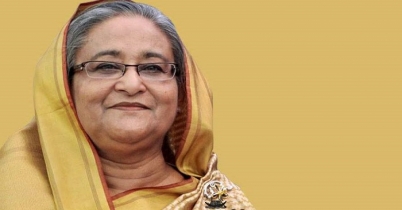ভিডিও কনফারেন্সে ১০ জেলায় শেখ হাসিনার নির্বাচনী প্রচারণা