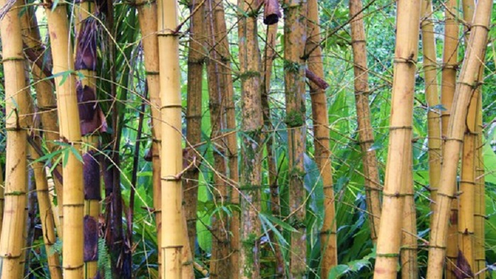 প্রতীকি চিত্র প্রতীকি চিত্র