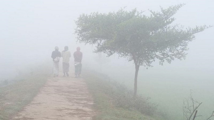 ফাইল ছবি ফাইল ছবি