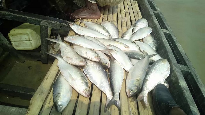 ফাইল ছবি ফাইল ছবি