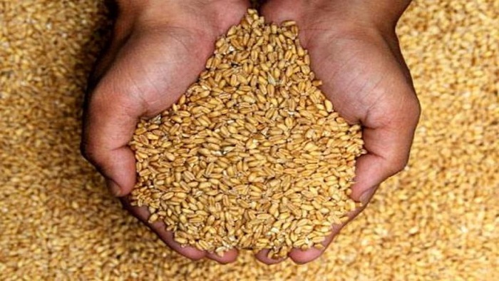 ফাইল ছবি ফাইল ছবি
