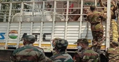 বাংলাদেশ সেনাবাহিনীকে ১৫টি ঘোড়া উপহার দিলো ভারত
