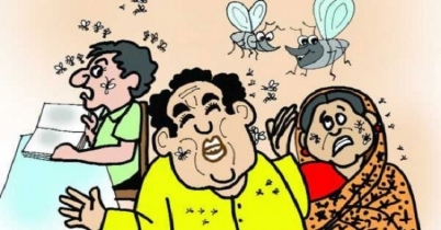 ৩০ সেকেন্ডেই মশা থেকে মুক্তি!