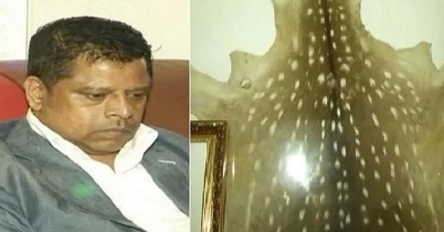 হরিণের চামড়া রাখায় কারাগারে ক্যাসিনোর সেলিম, ২ মামলার প্রস্তুতি