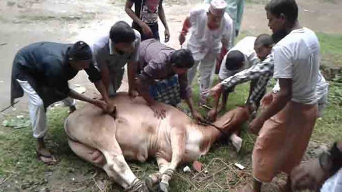 ঈদের দিনেও চলছে কোরবানি ছবি: সংগৃহীত