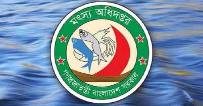 মৎস্য অধিদফতরে চাকরি