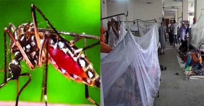 ডেঙ্গু মোকাবিলায় স্থানীয় সরকারের নানা পদক্ষেপ