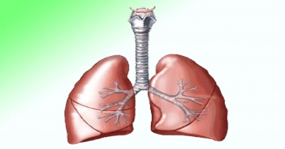 দু-দিনেই পরিষ্কার করুন ফুসফুস      