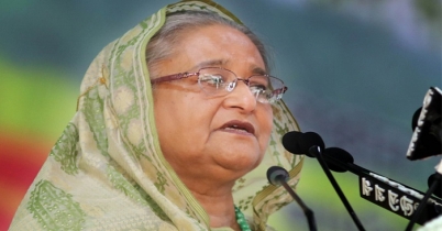 আবাদী জমির ক্ষতিসাধন করে কোনো শিল্প প্রতিষ্ঠান নয়: প্রধানমন্ত্রী