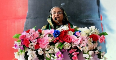 কার্গো ভাড়া করে আমরা পেঁয়াজ আনা শুরু করেছি: প্রধানমন্ত্রী