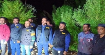 বাড়ির ছাদে গাঁজার বাগান