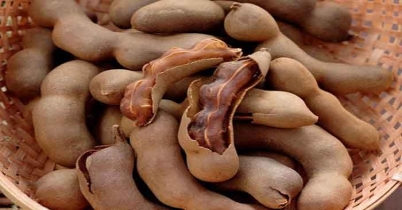 তেঁতুল বিচি আমদানি করছে বাংলাদেশ, কেন?