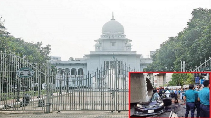 ছবি: সংগৃহীত ছবি: সংগৃহীত