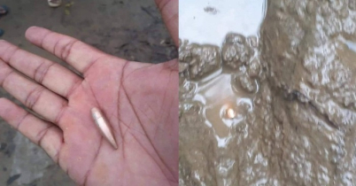ফের গুলি এসে পড়ল বাংলাদেশে