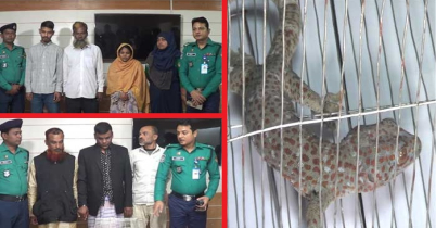 তক্ষক-ইয়াবাসহ গ্রেপ্তার ৬