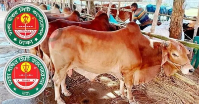 পশুর হাটের ইজারা নিয়ে বিএনপি, জামায়াত ও এনসিপির লড়াই
