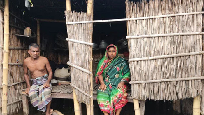 ছবি: সংগৃহীত ছবি: সংগৃহীত